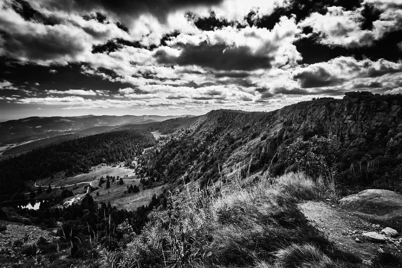 2017_08_22_Vosges (0075)b-w.jpg - Réserve naturelle du Gazon Faing (Vosges 2017)